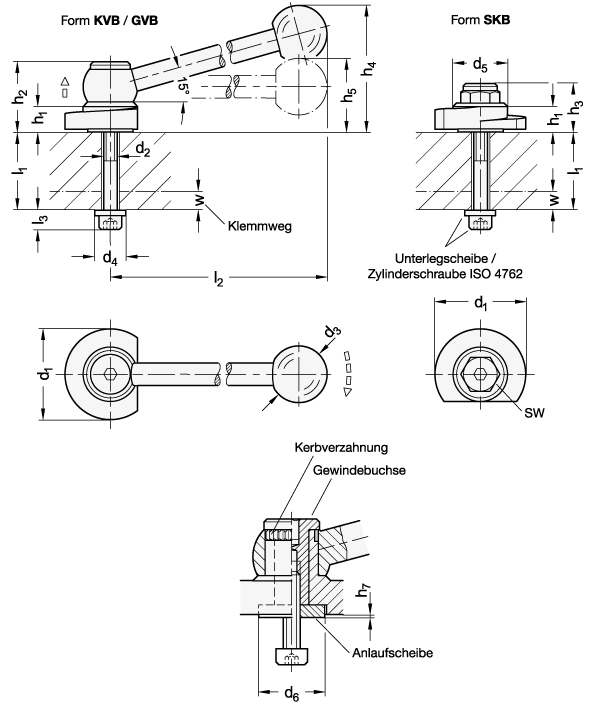 Ganter 918.6-40-GVB-L-12  Spannriegel, Edelstahl, Spannung nach oben, Schraube von der Rückseite, Durchmesser d1: 40, l1 max.: 12, Form: GVB - mit Kugelgriff, gerade (Kerbverzahnung) - GN 918-6 Spannriegel-Edelstahl-Spannung nach oben-Schraube von der Rueckseite-Massblatt