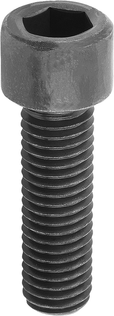 Kipp K0869.16X90 LE71450 ZYLINDERSCHRAUBE DIN 912, D=M16, L=90 - K0869-16X90 LE71450 ZYLINDERSCHRAUBE DIN 912 - D M16 - L 90