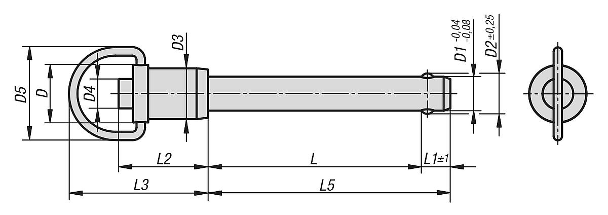 Kipp K0746.01710100 KUGELSPERRBOLZEN M. RINGGRIFF  D1=10, L=100, SELBSTSICHERND EDELSTAHL - K0746 Kugelsperrbolzen mit Ringgriff Edelstahl selbstsichernd - Massblatt