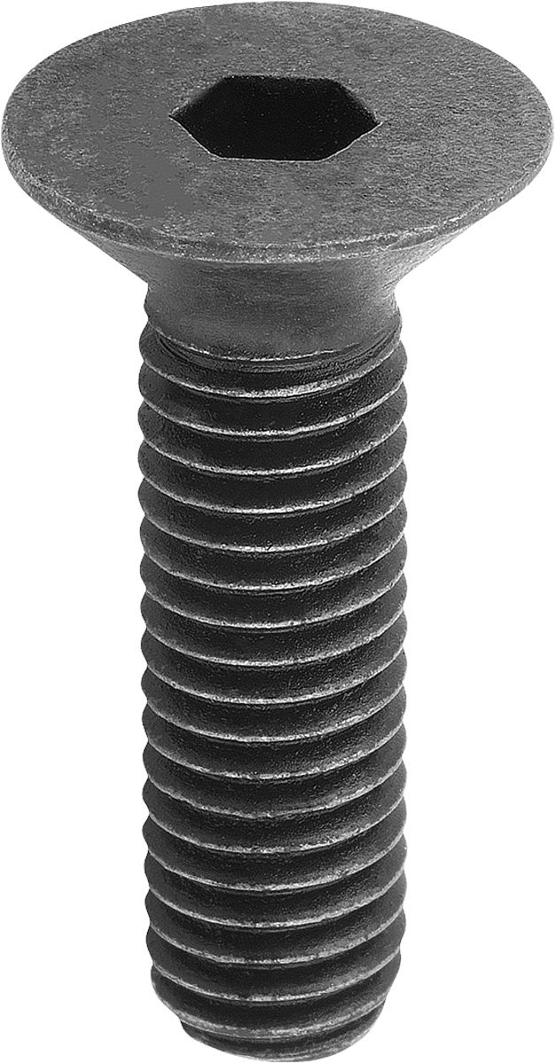 Kipp K0708.12X25 SENKSCHRAUBE DIN EN ISO 10642, D=M12, L=25 - K0708-12X25 SENKSCHRAUBE DIN EN ISO 10642 - D M12 - L 25