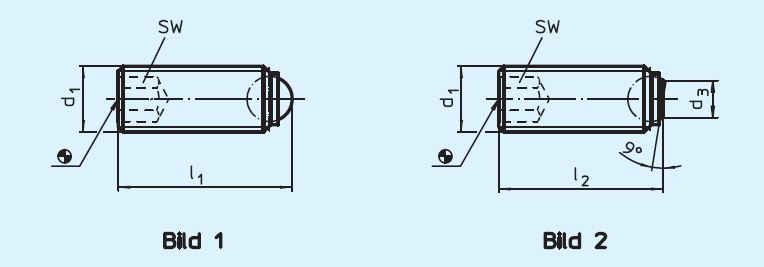 Halder 22720.6070 Kugeldruckschraube ohne Kopf mit Feingewinde M 8 x 1 x 11,2, volle Kugel rostfreier Stahl - EH 22720 Kugeldruckschrauben ohne Kopf mit Feingewinde
