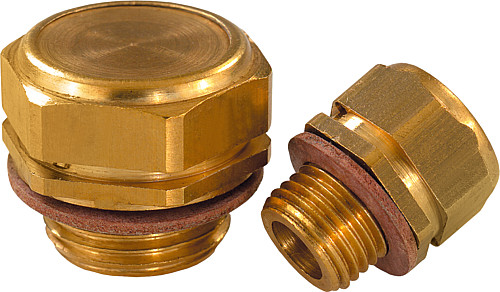 Kipp K0460.20014 MESSING ENTLÜFTUNGSSCHRAUBE, D=20, D1=G 1/4 - KIPP K0460 Messing Entlueftungsschrauben