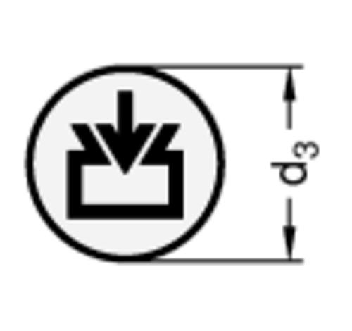 Ganter 747.1-25 ALU PLÄTTCHEN MIT EINFÜLLSYMBOL - GN 747-1 Alu Plaettchen mit Einfuellsymbol - fuer GN 745 - GN 745-2-Skizze