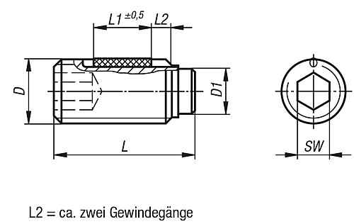 Kipp K0668.210X52 DRUCKSCHRAUBE M10X52 MIT MESSINGBOLZEN  LONG LOK - KIPP K0668 Druckschrauben LONG LOK gesichert