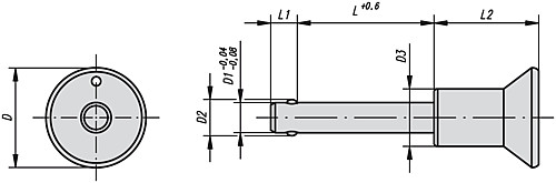 Norelem 03194-2305010 KUGELSPERRBOLZEN              EDELSTAHL, D1=5, L=10 - Norelem 03194 Kugelsperrbolzen Edelstahl selbstsichernd