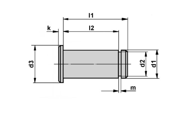 Leschhorn 09150.5x10 BEN-Bolzen passend zu Gabelkopf 5x10, d1= 5, l2= 10 mm, - BEN-Bolzen LE 09150 und LE 09650-Skizze