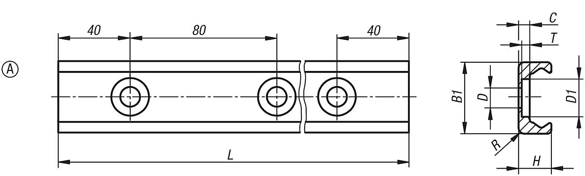 Norelem 21322-143X0560 FÜHRUNGSSCHIENE, FESTLAGER, L=560 MM - LE 21322-F Rollenfuehrungsschienen fuer Festlager - Massblatt