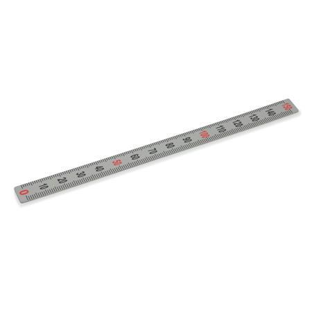 Ganter 711-KUS-100-S-M KUNSTSTOFF MASSSTAB - GN-711-Massstaebe-Kunststoff-Edelstahl