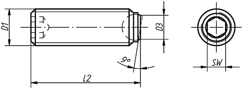 Norelem 07111-2046 KUGELDRUCKSCHRAUBE FORM B     EDELSTAHL, OHNE KOPF, D1=M4, L - Norelem 07111 Kugeldruckschrauben ohne Kopf - Edelstahl mit abgeflachter Kugel