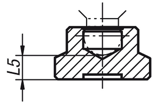 Kipp K0393.06 DRUCKSTÜCK STAHL D1=15, - KIPP K0393 Druckstuecke