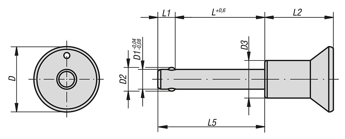 Norelem 03194-2306025 KUGELSPERRBOLZEN              EDELSTAHL, D1=6, L=25 - NLM 03194 Kugelsperrbolzen Edelstahl  selbstsichernd - Massblatt