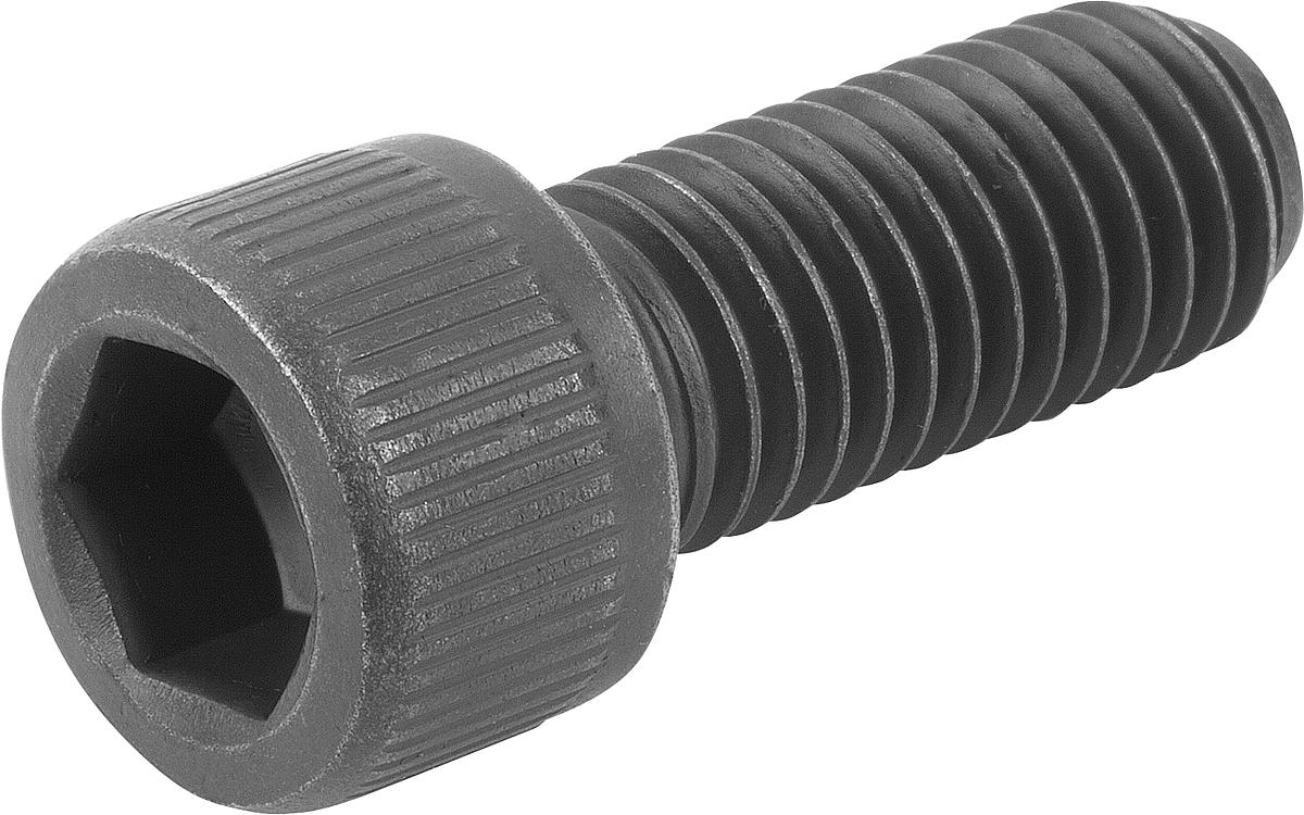Norelem 07100-31660 KUGELDRUCKSCHRAUBE FORM F, MIT KOPF, D1=M16, L2=60 - 07100-31660 KUGELDRUCKSCHRAUBE FORM F - MIT KOPF - D1 M16 - L2 60