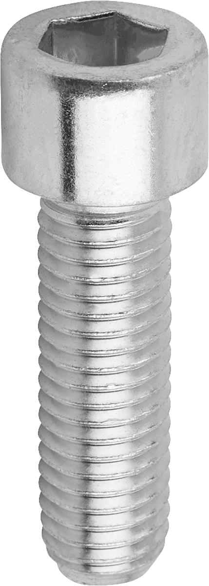 Kipp K0869.404X20 ZYLINDERSCHRAUBE MIT INNENSECHSKANT DIN EN ISO4762 M04X20, STAHL 8.8 GALVANISCH VERZINKT - K0869-404X20 ZYLINDERSCHRAUBE INNENSECHSKANT DIN EN ISO4762 M04X20 -STAHL 8-8 GALVANISCH VERZINKT
