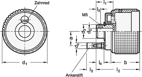 Ganter 534.9-60-B8 ELESA DREHKNOPF FÜR STELLUNGSANZEIGER - GN 534-9 Drehknoepfe fuer Stellungsanzeiger-Skizze