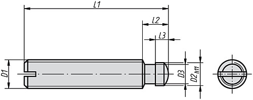 Kipp K0390.06X30 GEWINDESTIFT MIT DRUCKZAPFEN, DIN 6332, D1=M6, L1=30 - KIPP K0390 Gewindestifte mit Druckzapfen DIN 6332