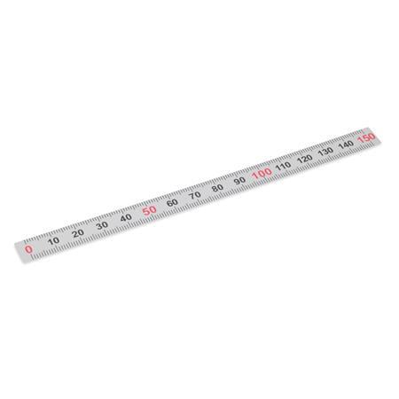 Ganter 711-KUS-100-S-M KUNSTSTOFF MASSSTAB - GN-711-Massstaebe-Kunststoff-Edelstahl