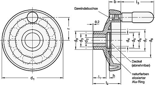 Ganter 524-100-B10-A ELESA SCHEIBENHANDRAD - GN 524 Scheibenhandraeder - Kunststoff-Skizze