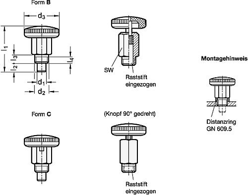 Ganter 822.1-4-B-NI EDELSTAHL MINIRASTER OHNE RASTFUNKTION - GN 822-1 Miniraster - Rastmechanik offen-Skizze
