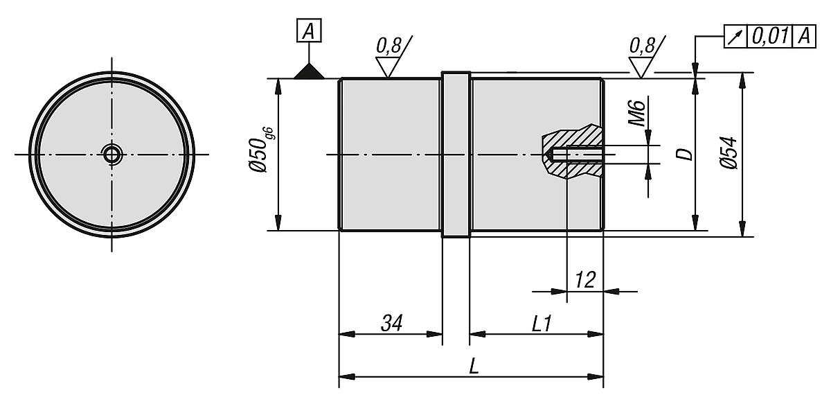 Norelem 03110-5050 ZENTRIERBOLZEN FÜR MITTENBOHRUNG, D=50 - NLM 03110 Zentrierbolzen  fuer Mittenbohrung - Massblatt